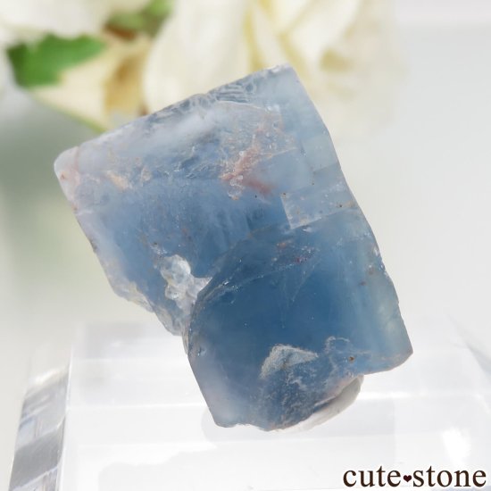ɥ Hesselbach Mine ֥롼ե饤Ȥθ No.2μ̿0 cute stone