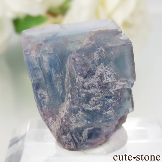 ɥ Hesselbach Mine ֥롼ե饤Ȥθ No.4μ̿0 cute stone