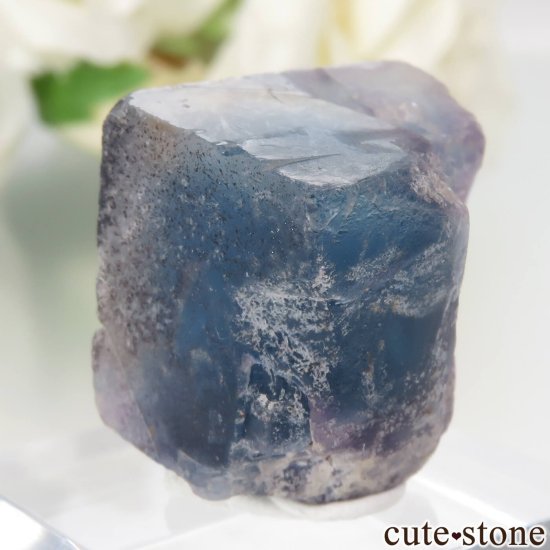 ɥ Hesselbach Mine ֥롼ե饤Ȥθ No.4μ̿1 cute stone