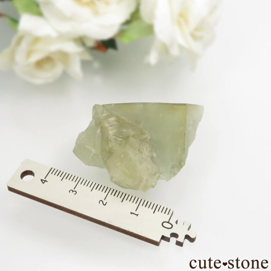 ɥ Niederschlag mine ե饤Ȥθ No.4μ̿3 cute stone