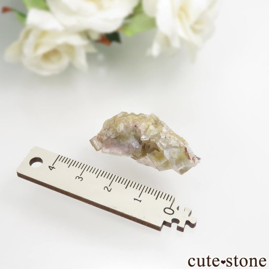 ɥ Niederschlag mine ե饤Ȥθ No.5μ̿4 cute stone