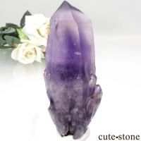 ʥꥢ Tuli ᥸Ȥθ No.2β