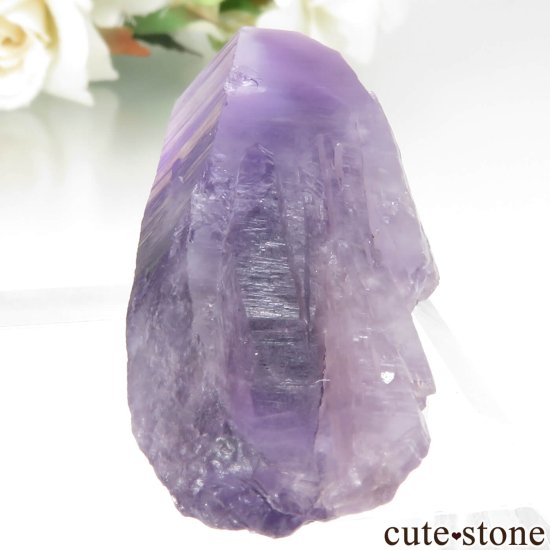 ʥꥢ Tuli ᥸Ȥθ No.5μ̿0 cute stone