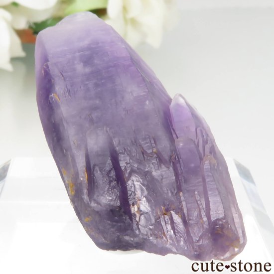 ʥꥢ Tuli ᥸Ȥθ No.7μ̿0 cute stone