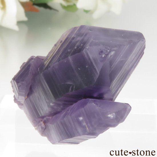 ʥꥢ Tuli ᥸Ȥθ No.7μ̿2 cute stone