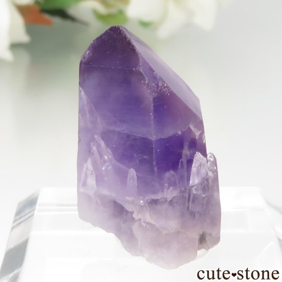ʥꥢ Tuli ᥸Ȥθ No.8μ̿0 cute stone