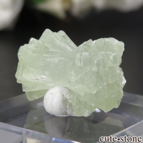 å Midelt ܤߤʥץʥȤθ No.1μ̿0 cute stone