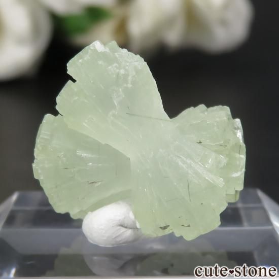 å Midelt ܤߤʥץʥȤθ No.5μ̿1 cute stone