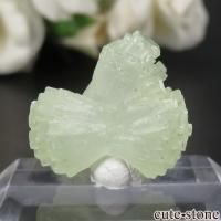 å Midelt ܤߤʥץʥȤθ No.5β