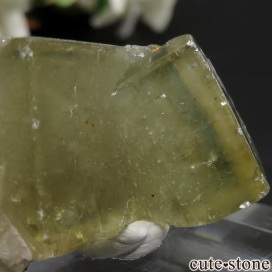 å El Hammam Mine ߥ֥롼ե饤Ȥθ No.2μ̿3 cute stone