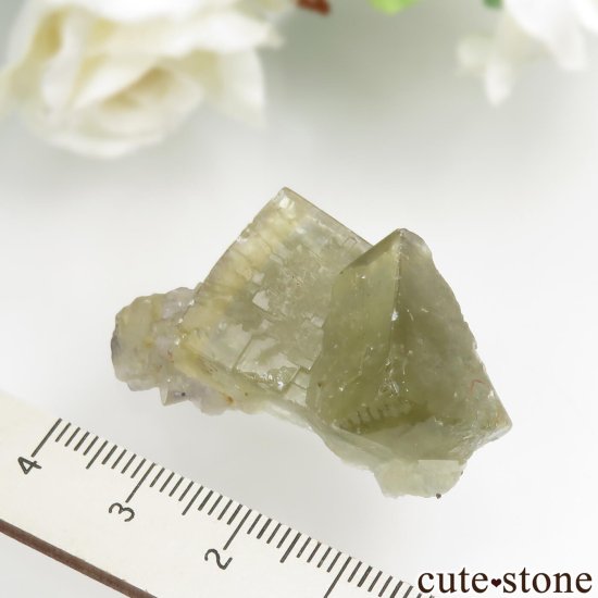å El Hammam Mine ߥ֥롼ե饤Ȥθ No.2μ̿4 cute stone