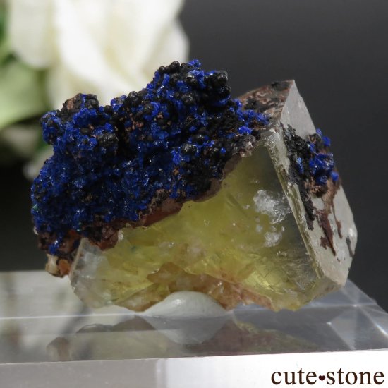 モロッコ El Hammam Mine産 イエロー×ブルーフローライト＆アズライトの原石 No.3の写真1 cute stone