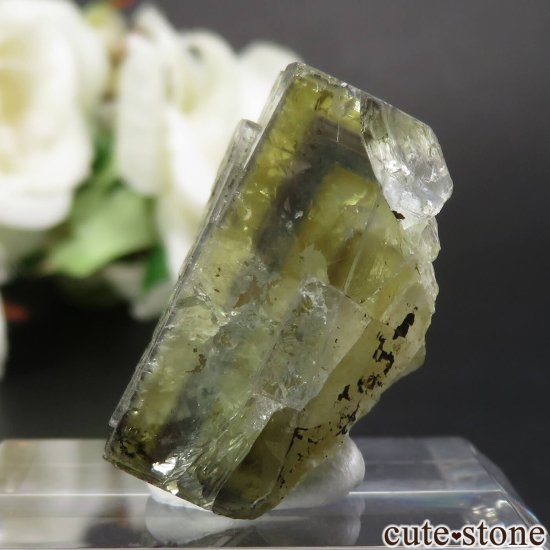 å El Hammam Mine ߥ֥롼ե饤Ȥθ No.4μ̿2 cute stone
