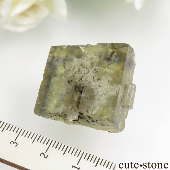 モロッコ El Hammam Mine産 イエロー×ブルーフローライトの原石 No.4の写真3 cute stone
