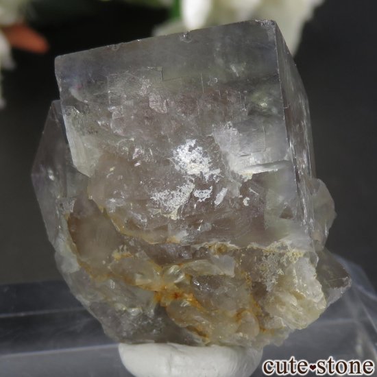 モロッコ El Hammam Mine産 ブルー×イエロー×パープルフローライトの原石 No.6の写真1 cute stone