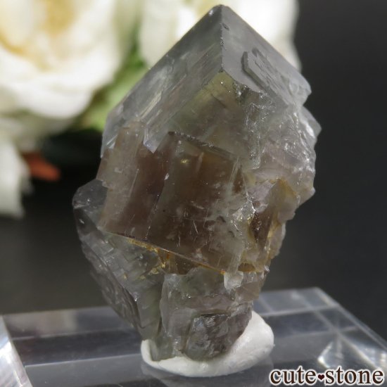 å El Hammam Mine ֥롼ߥߥѡץե饤Ȥθ No.6μ̿2 cute stone