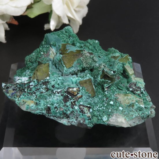モロッコ El Hammam Mine産 イエローフローライト＆マラカイトの原石 No.7の画像 cute stone