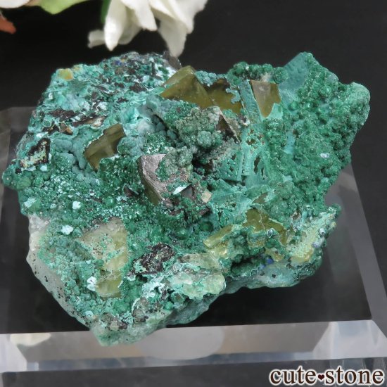 モロッコ El Hammam Mine産 イエローフローライト＆マラカイトの原石 No.7の写真2 cute stone