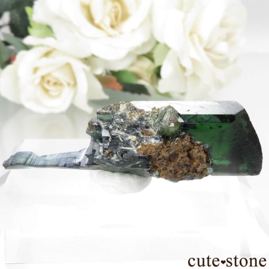 ֥饸 Sao Gabriel da Cachoeira ӥӥʥȡɥޥȤθ No.4μ̿1 cute stone