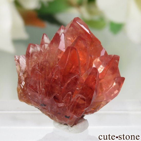 南アフリカ Hotazel Mine ロードクロサイトの原石 No.6 - cute stone -