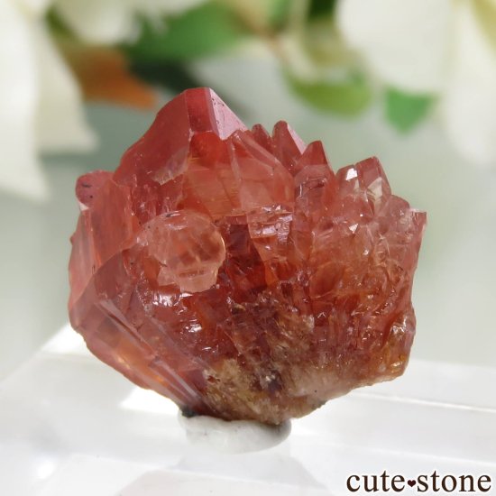 南アフリカ Hotazel Mine ロードクロサイトの原石 No.6の写真1 cute stone