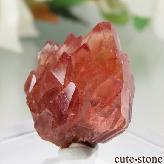 南アフリカ Hotazel Mine ロードクロサイトの原石 No.6の写真3 cute stone