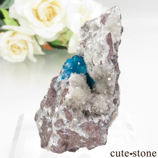  ץ͡ Х󥵥ȡƥХȤդ뾽ʸСNo.41μ̿2 cute stone
