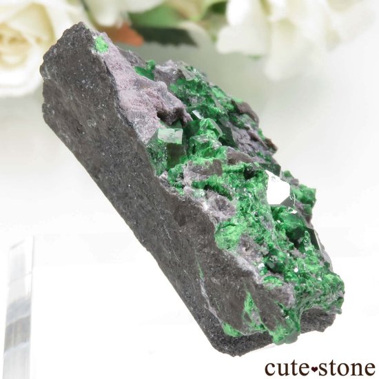 ロシア Saranovskii Mine産 ウバロバイトガーネットの母岩付き結晶（原石）No.6の写真0 cute stone