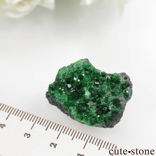 ロシア Saranovskii Mine産 ウバロバイトガーネットの母岩付き結晶（原石）No.7の写真3 cute stone