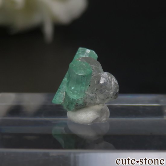 ӥ Muzo Mine ɡ륵Ȥθ No.7μ̿2 cute stone