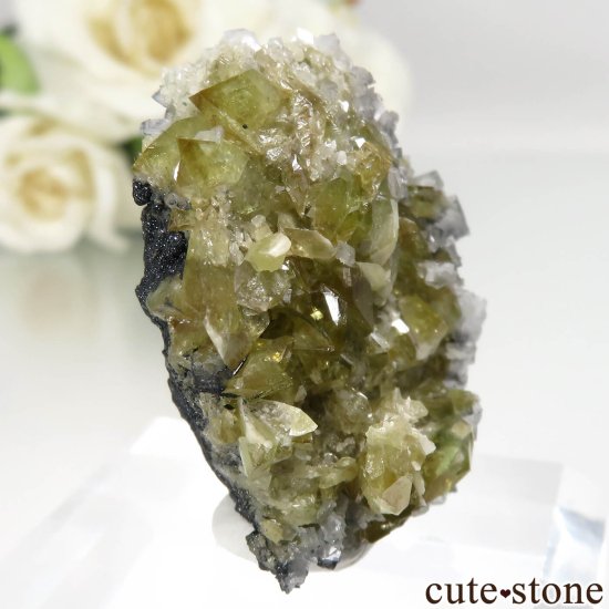 ȥꥢ Felbertal եʥʥȡˤθ No.1μ̿0 cute stone
