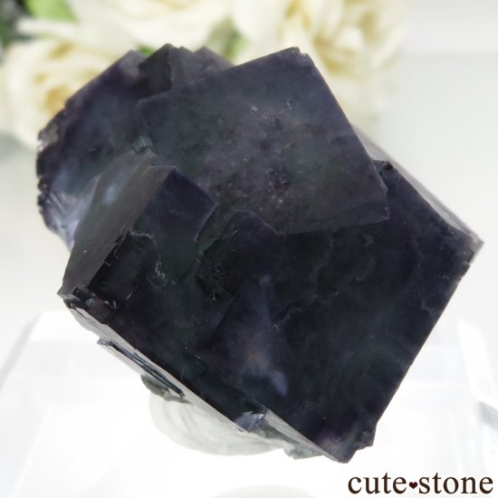ʥߥӥ Okorusu Mine ե饤Ȥθ No.20μ̿0 cute stone