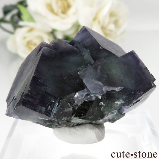 ʥߥӥ Okorusu Mine ե饤Ȥθ No.20μ̿1 cute stone