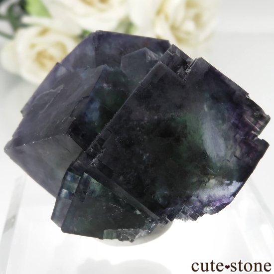 ʥߥӥ Okorusu Mine ե饤Ȥθ No.20μ̿2 cute stone