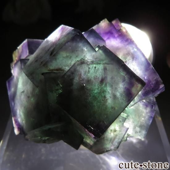 ʥߥӥ Okorusu Mine ե饤Ȥθ No.20μ̿3 cute stone