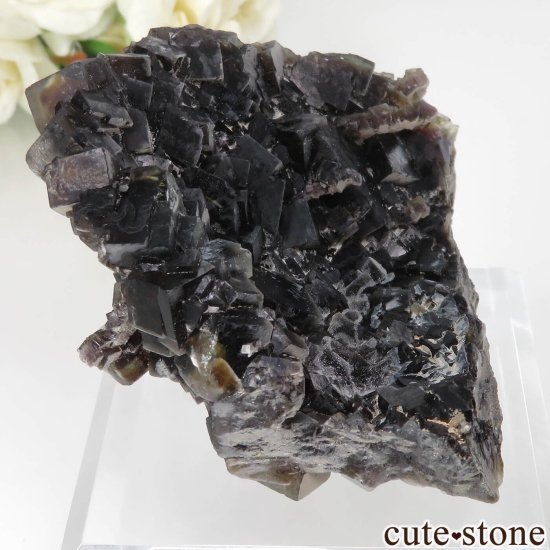 ʥߥӥ Okorusu Mine ե饤Ȥθ No.21μ̿0 cute stone