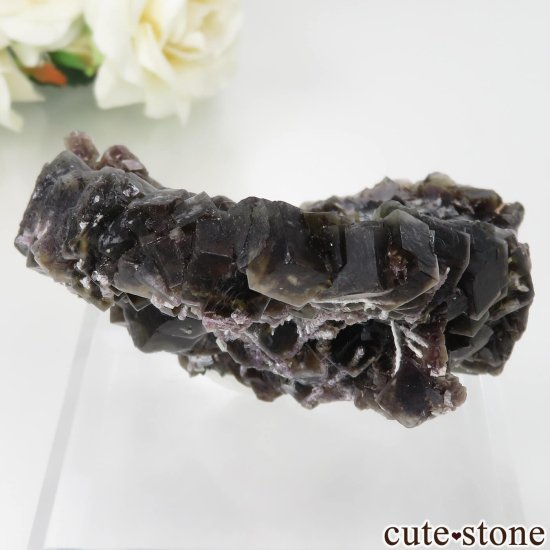 ʥߥӥ Okorusu Mine ե饤Ȥθ No.21μ̿1 cute stone