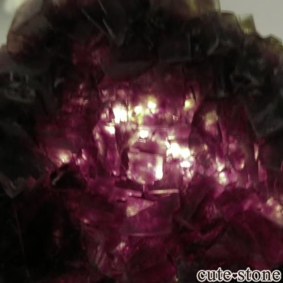 ʥߥӥ Okorusu Mine ե饤Ȥθ No.21μ̿3 cute stone