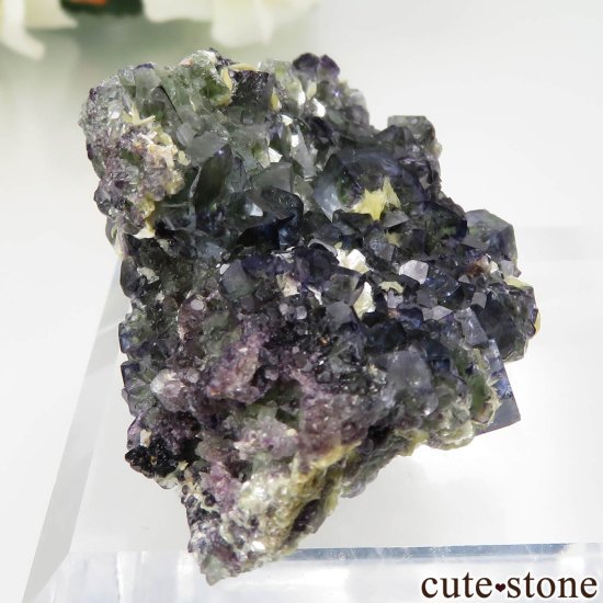 ʥߥӥ Okorusu Mine ե饤ȡ⥹ХȤθ No.22μ̿0 cute stone