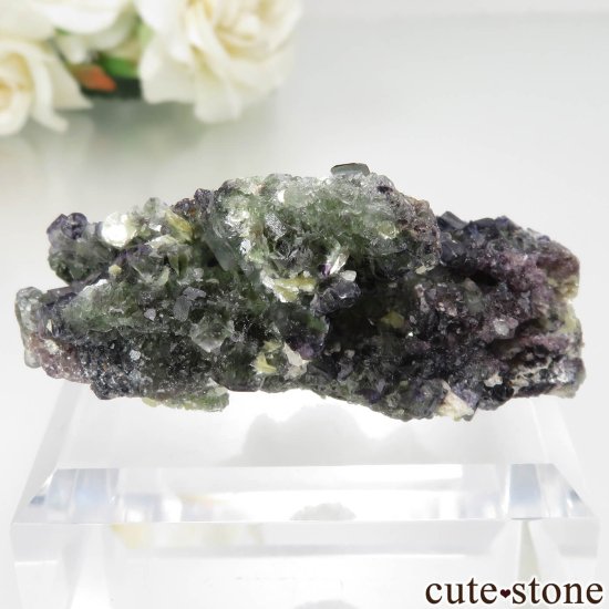 ʥߥӥ Okorusu Mine ե饤ȡ⥹ХȤθ No.22μ̿1 cute stone