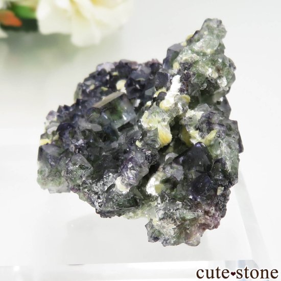ʥߥӥ Okorusu Mine ե饤ȡ⥹ХȤθ No.22μ̿2 cute stone