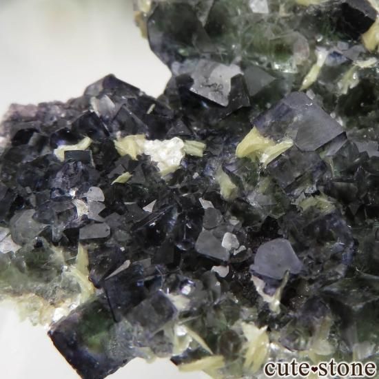 ʥߥӥ Okorusu Mine ե饤ȡ⥹ХȤθ No.22μ̿3 cute stone