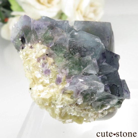 ʥߥӥ Okorusu Mine ե饤ȡ⥹ХȤθ No.23μ̿0 cute stone