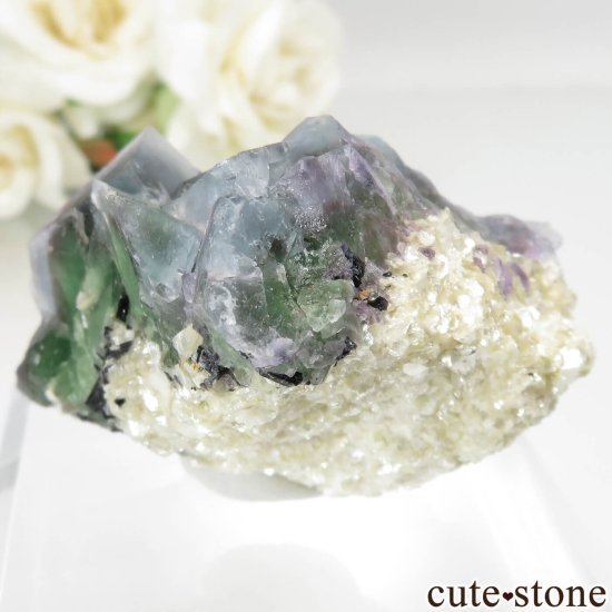 ʥߥӥ Okorusu Mine ե饤ȡ⥹ХȤθ No.23μ̿1 cute stone