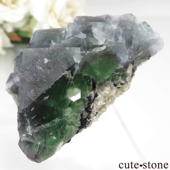 ʥߥӥ Okorusu Mine ե饤ȡ⥹ХȤθ No.23μ̿3 cute stone