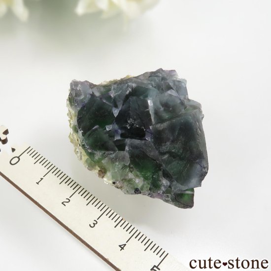 ʥߥӥ Okorusu Mine ե饤ȡ⥹ХȤθ No.23μ̿5 cute stone