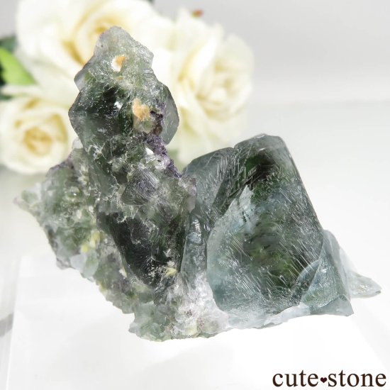 ʥߥӥ Okorusu Mine ե饤Ȥθ No.24μ̿0 cute stone
