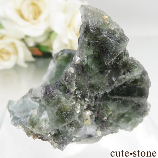 ʥߥӥ Okorusu Mine ե饤Ȥθ No.24μ̿1 cute stone