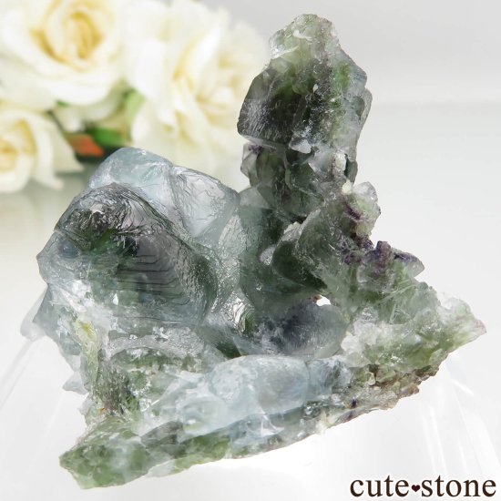 ʥߥӥ Okorusu Mine ե饤Ȥθ No.24μ̿2 cute stone