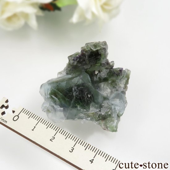 ʥߥӥ Okorusu Mine ե饤Ȥθ No.24μ̿3 cute stone
